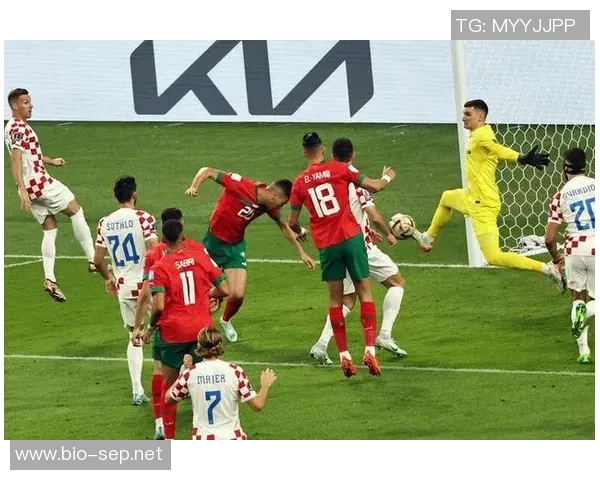 克罗地亚与俄罗斯精彩对决全场录像回放及精彩瞬间分析