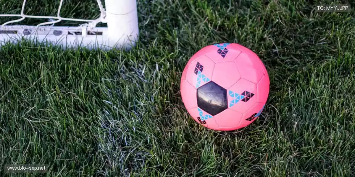 用装备定义实力,让每个动作都无可挑剔!🎾